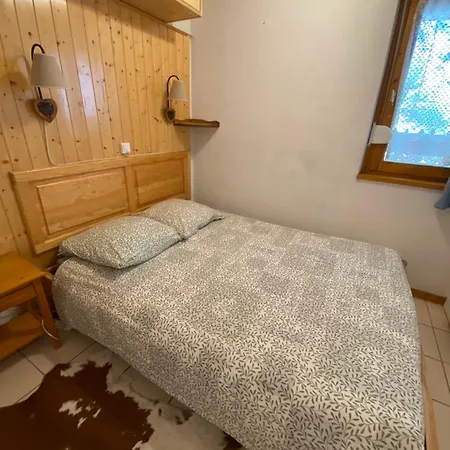 1 Bedroom Appt With Mountain Views * Les Deux Alpes