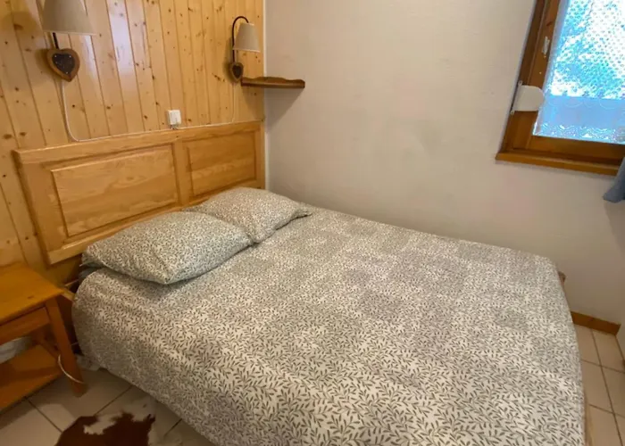 1 Bedroom Appt With Mountain Views * Les Deux Alpes